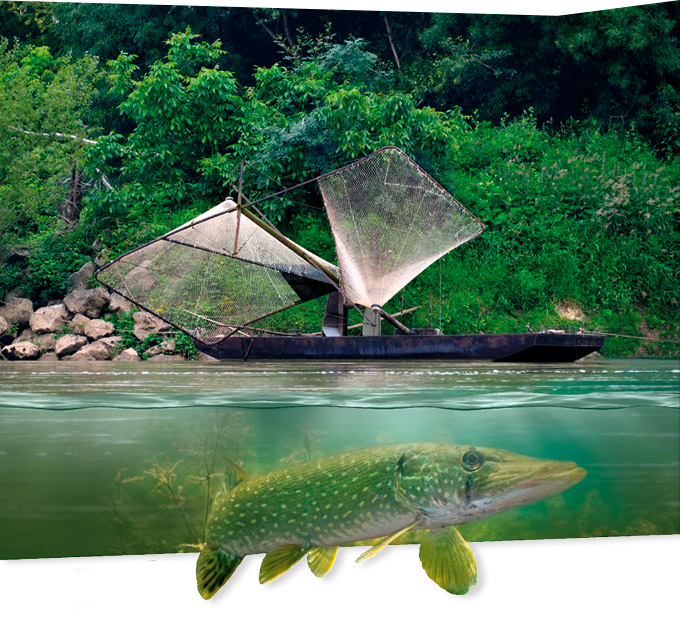 nature garonne brochet